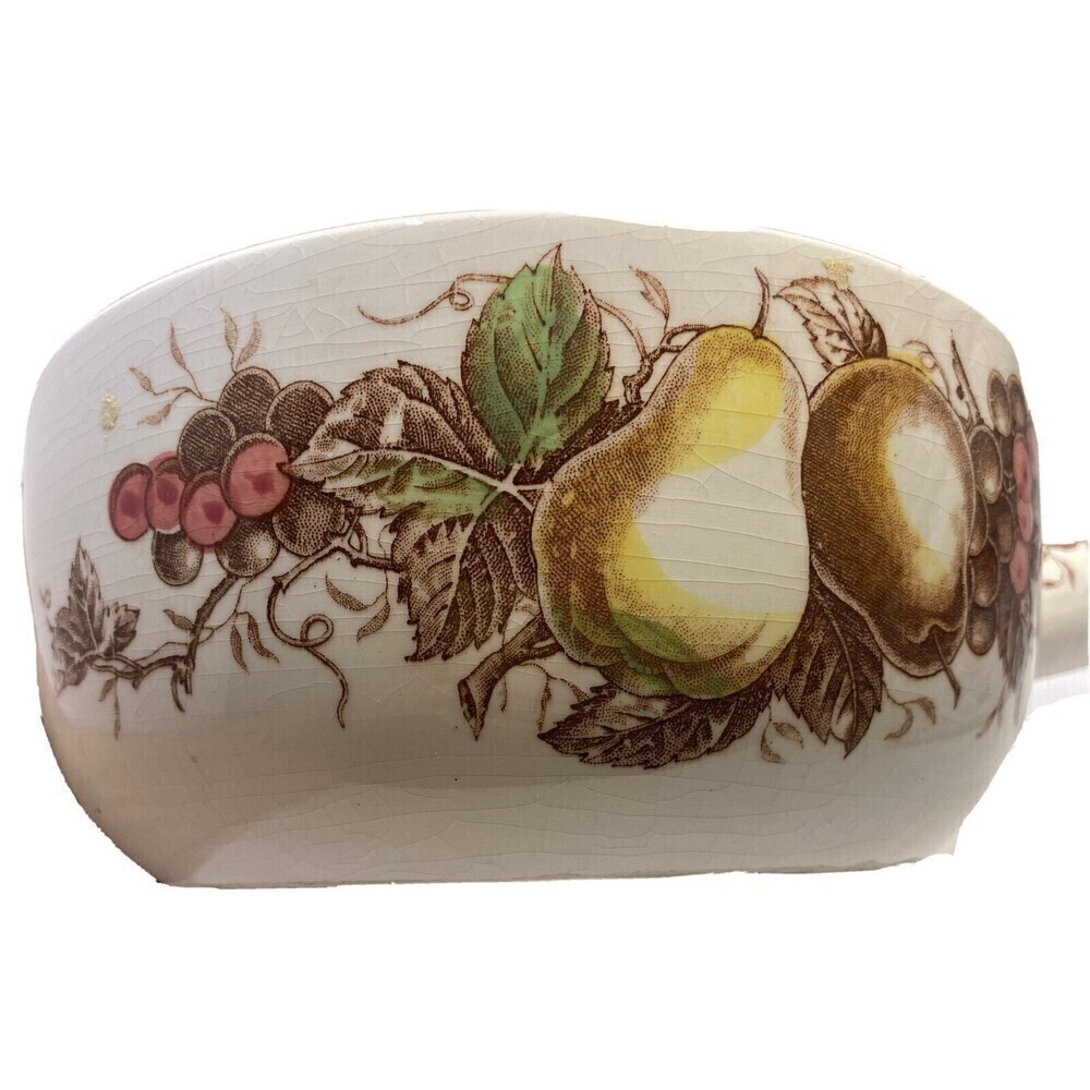 Vintage Nasco Porcelain China Fruit Arbor Serving Bowl w/ Handle Japan